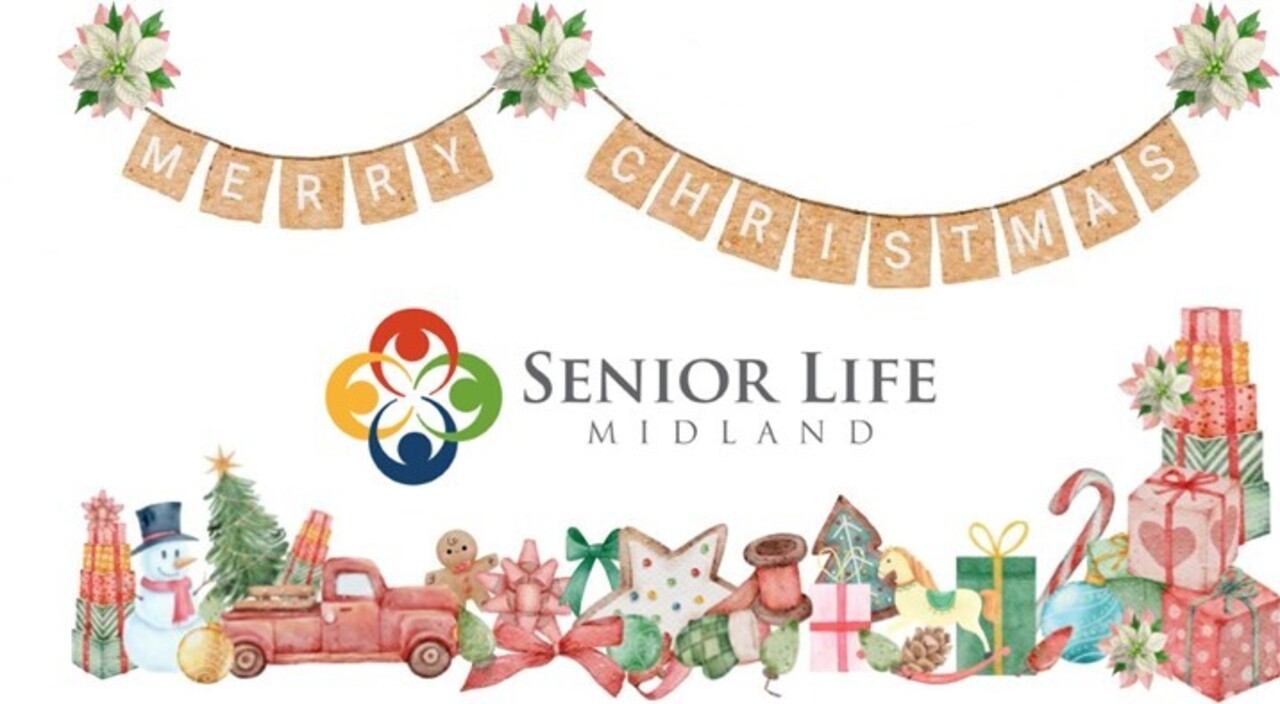 Holiday Appeal Holiday Appeal Merry Christmas image